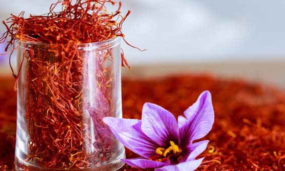 تصویر 1 از خرید زعفران صادراتی ممتاز + قیمت فروش استثنایی